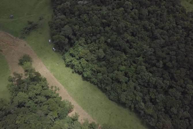 Coca-Cola FEMSA Brasil prorroga para 19 de julho inscrições do edital  “Ideias para um Mundo Melhor”