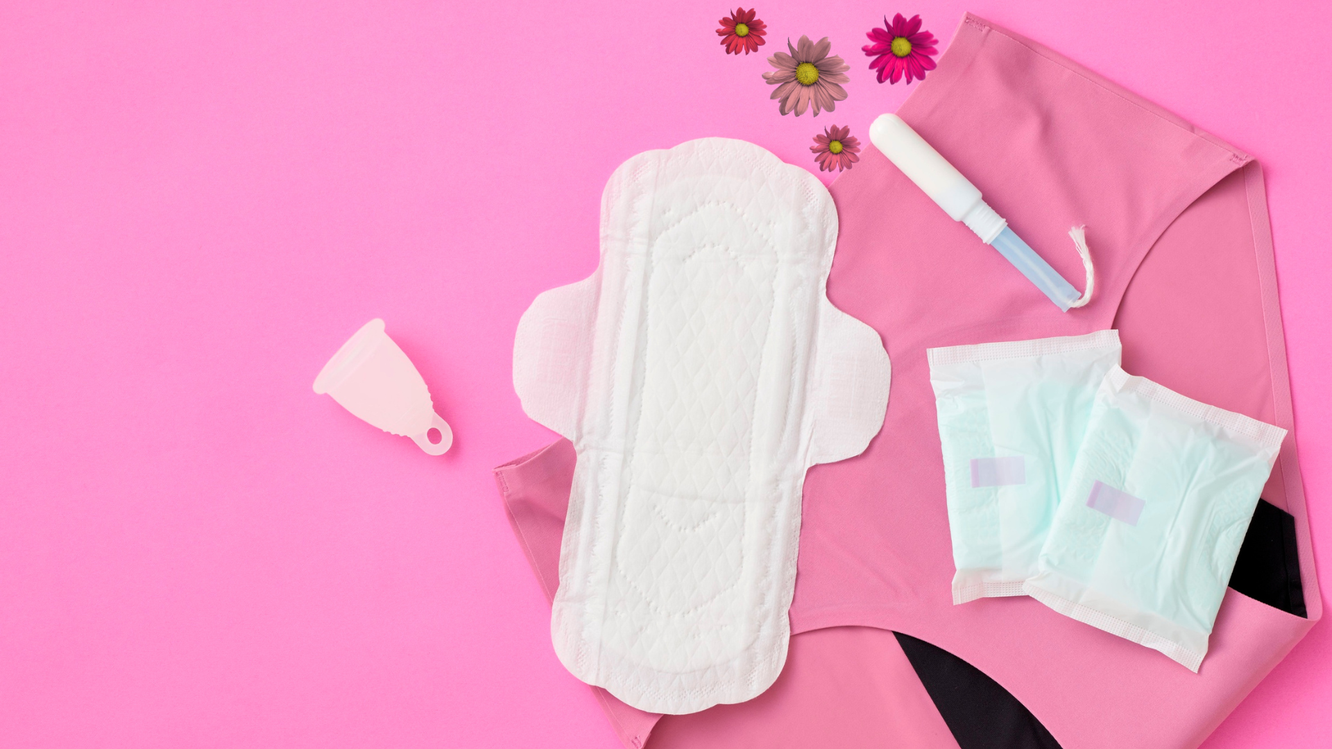 Menstruação com Dignidade: Como Combater a Pobreza Menstrual no Brasil 